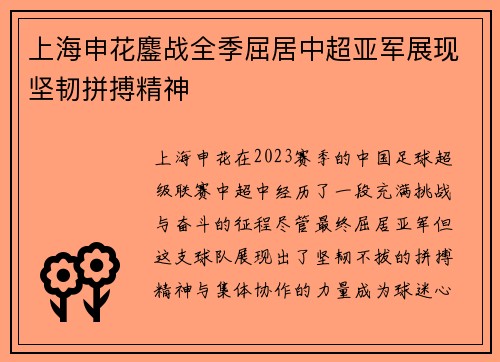 上海申花鏖战全季屈居中超亚军展现坚韧拼搏精神